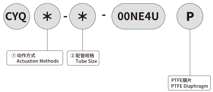 MODEL INDICATION