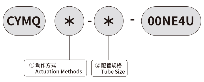 MODEL INDICATION