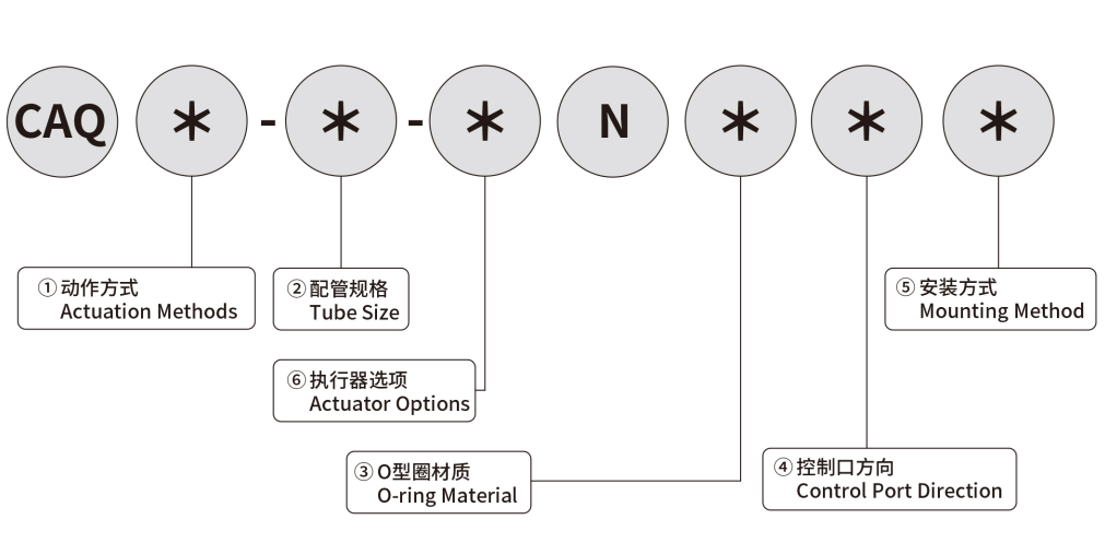 MODEL INDICATION
