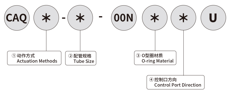 MODEL INDICATION