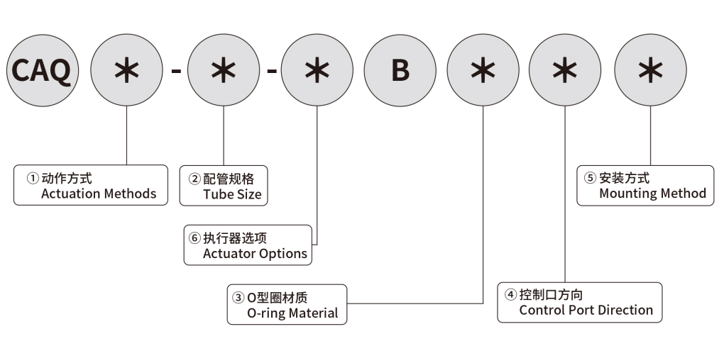 MODEL INDICATION